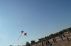 Kites Festival