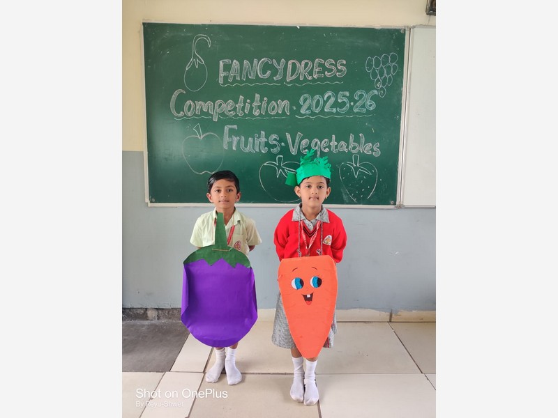 FANCY DRESS COMPETATION